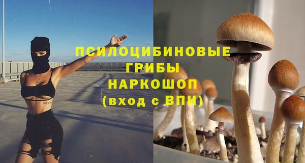 спиды Володарск