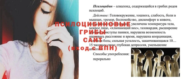 спиды Володарск